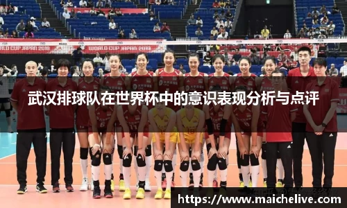 武汉排球队在世界杯中的意识表现分析与点评