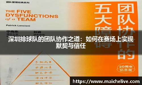 深圳排球队的团队协作之道：如何在赛场上实现默契与信任